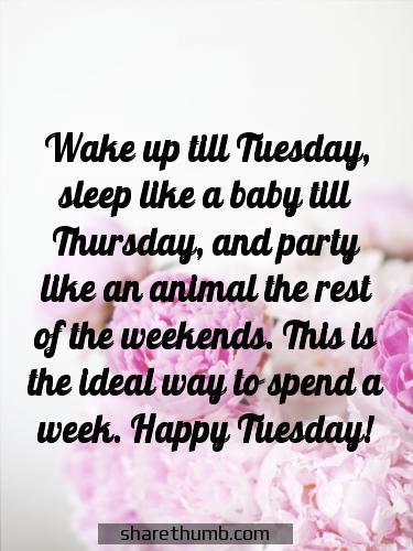 tuesday inspirational quotes funny